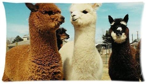 Llama We Are Friends Pillowcase 12 x 20 Custom Rectangle Pillow Cover Cases