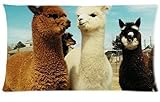 Llama We Are Friends Pillowcase 20x36 (one side) Custom Rectangle Pillow Cover Cases