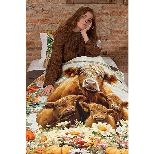 Highland Cow Throw Blanket Gift for Girls Boys Flower Blanket Gift for Kids Super Soft Lightweight Flannel Pumpkin Blankets for Bed Sofa Couch 40x50Inch