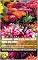 Livro Jardinagem / Saúde e Bem-Estar: Rosa a Rainha Das Flores!: Segredos, enxertia e cuidados da flor que encanta a alma – com as memórias de minha avó Maria ... / Horticultura /Saúde / Bem Estar)