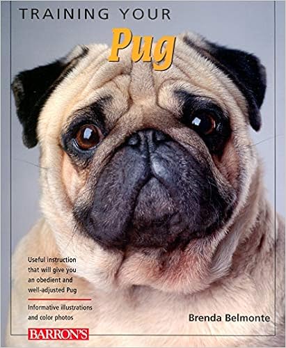 Training Your Pug (Training Your Dog Series) �y�[�p�[�o�b�N  - 2008/10/1
