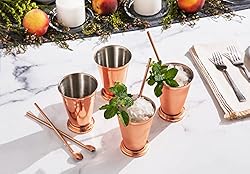 Sol Living Mint Julep Cups and Moscow Mule Bundle