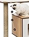 Catit Vesper Cat Tree, Base, Walnut, 52042