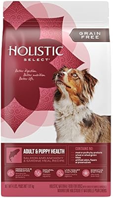 holistic dog biscuits