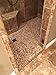 Mini Island Mix Pebble Tile 1 sq.ft. (Mesh Mounted)