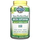 Garden of Life Vegan Green Superfood Supplement - Raw Perfect Whole Food Dietary Capsules, 240 Capsules