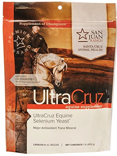 UltraCruz - sc-363248 Equine Selenium Yeast Supplement for Horses, 1 lb, Powder (226 Day Supply) - Thumbnail 4