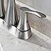 PARLOS Bathroom Faucet Two-Handle Centerset Design with Pop-up Drain and Faucet Supply Lines, Brushed Nickel,Demeter 13625