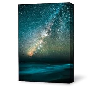 Canvas Wall Art Bright Moon Shining Forests Painting Artwork for Home Prints Framed - 12x18 inches