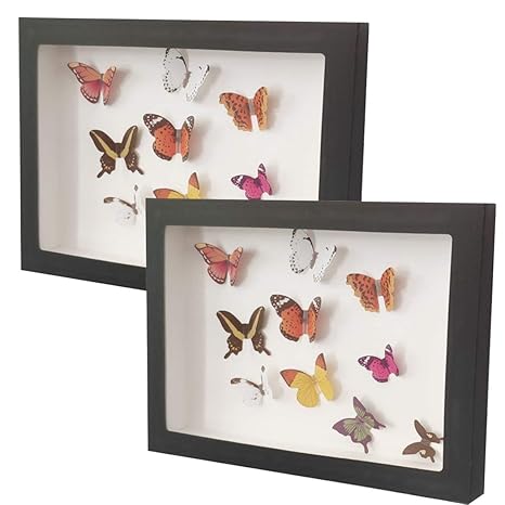 Buy Outgeek 2pcs Shadow Box Frame Decorative Minimalist Display