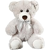 Wgxzyq Teddy Bear Stuffed Animal, 12inch Teddy Bear Plush Toy, Birthday Valentine's Day Xmas Gifts for Kids Boys Girls Friends (B-Grey)