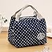 KANGMOON Reusable Lunch Bags for women Insulated Cold Canvas Stripe Picnic Carry Case Thermal Portable Lunch Bag (Navy)