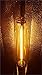 SPL Horticulture Sthb 1000 Hydroponic 1000w Watt High Pressure Sodium HPS Grow Light Bulb Lamp for Magnetic and Digital Ballast (1000W HPS)