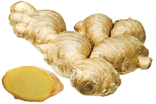 Ginger Fresh 14 Oz