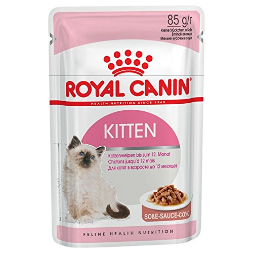 Royal Canin Kitten Instinctive Wet Cat 85g Pouches Comes In Either Gravy Or Jelly Gravy X 24 Pouches Buy Online In Suriname At Suriname Desertcart Com Productid