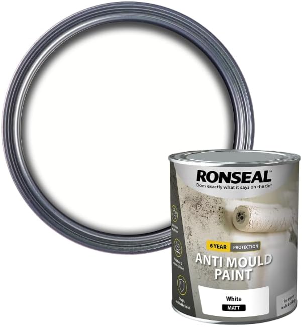Ronseal Anti Mould Paint White Matt 750ml AMPWM750