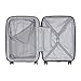 DELSEY Paris Luggage Cruise Lite Hardside 21