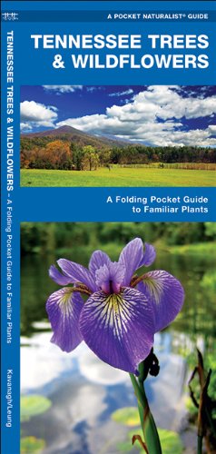 Tennessee Trees & Wildflowers: A Folding Pocket Guide to Familiar Species (Pocket Naturalist Guide Series)