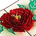 Paper Spiritz Peony Pop up Cards Birthday, Mothers Day Cards, 3D Popup Greeting Cards for Valentines Day, Handmade Graduation Sympathy Blank Card, Laser Cut with Envelopes all Occasion (2025_FBA)