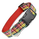 Plaid Dog Collar, Buchanan Tartan, Medium, 3/4