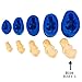 First Impression Molds B236 Baby 5 Silicone Cake Decorating Mold, X-Large, Blue