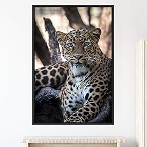 signwin Framed Canvas Wall Art Cheetah Animals Cheetah...