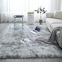 Modern Area Rugs Soft Decor Rug for Bedroom Living Room Nursery Floor Fluffy Shag Collection Rug Plush Fuzzy Shaggy Throw...