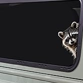 Iprokiu Funny Raccoon Car Sticker Waterproof Raccoon Peeking Decal for Car Window Bumper Self Adhesive Cute Animal Sticker Vehicle Laptop Wall Car Decoration (Raccoon Right)