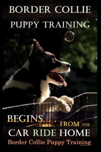 Border Collie Puppy Training Begins. . . From the Car Ride Home: Border Collie Puppy Training by Mr Doug K. Naiyn
