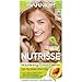Garnier Nutrisse Nourishing Hair Color Creme, 82 Champagne Blonde (Champagne Fizz) (Packaging May Vary)