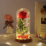 Beauty and The Beast Rose Set-The Best Holiday