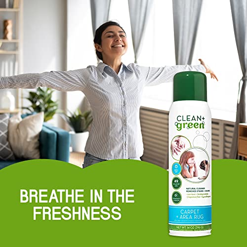 Clean+Green Carpet Cleaner Natural Stain and Odor Remover, Deep Clean