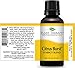 Plant Therapy Citrus Burst Essential Oil Blend 30 mL (1 oz) 100% Pure, Undiluted, Therapeutic Grade
