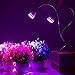 New Dual Head Led Grow Light, Ppunson 10W Desk Clip Lamp with 360 Degree Flexible Gooseneck and Double on/off Switch for Indoor Plants Greenhouse Office (10w Dual head)
