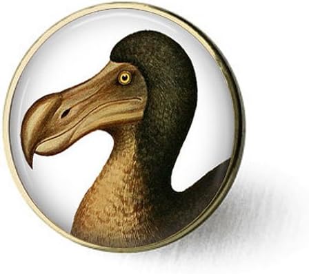 Dod Bird Dodo Jewelry Dodo Uccello Spilla Estinzione Botanico Jewelry Wildlife Spilla Vintage Dodo Bird Amazon It Casa E Cucina