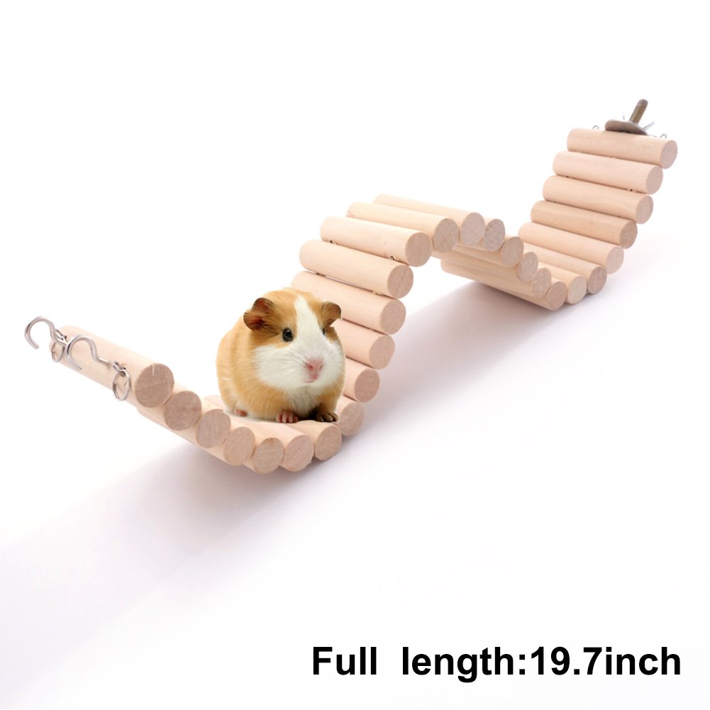 Best suspension bridge with hammock