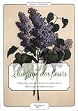 le langage des fleurs by 