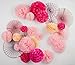 PapaKit Deluxe Origami Large Wall Decoration Set (Assorted Paper Fans & Pom-poms) Birthday Party Baby Shower Wedding Event Decor | Creative Art Design (Sparking Pink Rose Blush, Deluxe 26 Piece Set)