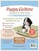 PuppyGoHere Dog Litter Box, Beach Sand Color, Large Size, Durable & Pet Safe Puppy Litter Box, Indoor Open Top Entry Dog Litter Pan, Comfortable for Dogs, Great for Dogs up to 20 lbs