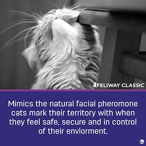 5 Feliway+Classic+Starter+Cats+Diffuser