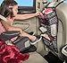 High Road TissuePockets Backseat Organizer with Tissue Compartment and Cup Holder Bin (Baja)
