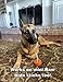Bully Stick Holder for Dogs - Medium Size - Interactive Dog Toy, Dog Treat Holder, Slow Feeder, Treat Dispenser, Chew Toy and Dog Safety Device