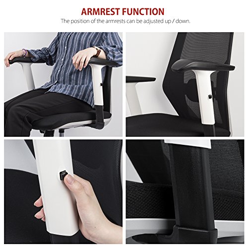 Bonum Ergonomic Mesh Office Chair High-Back Swivel Computer Task Chair Adjustable Headrest with Adjustable Armrest Lumber Support Desk Executive Chair (Matte Black)