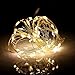 BINZET 50 LEDs 3AA Battery Operated Copper Wire String Light, 5 Meters (With Remote), Warm White