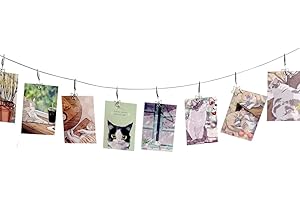 TFu Wall Hanging Photo Display, DIY Picture Photo Frame String with 12 Clips for Hanging Photos Notes and Artworks (Moon & Star)