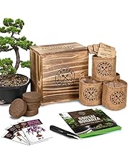 Bonsai Tree Seed Starter Kit - Mini Bonsai Plant Growing Kit, 4 Types of Seeds, Potting Soil, Pots, Pruning Shears Scissor Tool, Plant Markers, Wood Gift Box, Indoor Garden Gardening Gifts Ideas