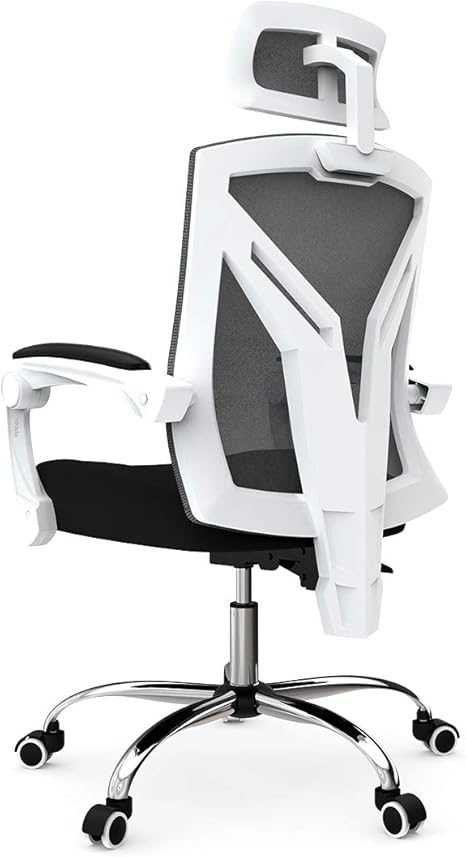 Hbada Ergonomic Home Office Recliner Chair