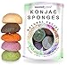 Konjac Sponge Set: Organic Skincare Facial for Natural Exfoliating and Deep Pore Cleansing 5 Piece Sampler Pack Infused with Charcoal, Turmeric, Green Tea