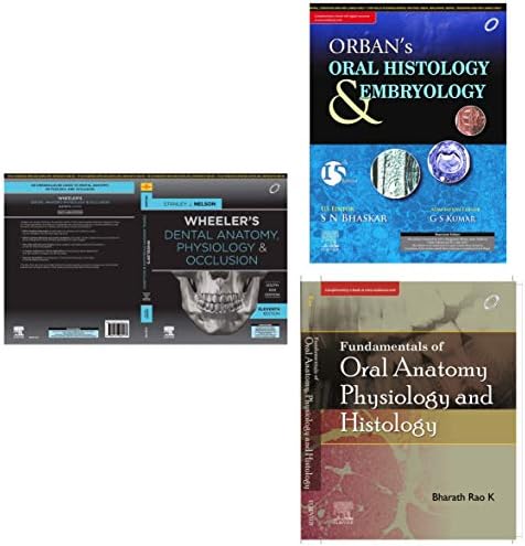 BDS 1st year - Orban+Wheeler+Rao Anatomy (Set of 3 Books)