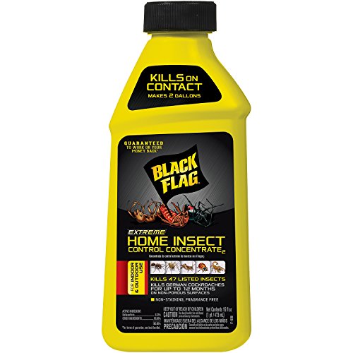 Black Flag Home Insect Control Concentrate, 16-Ounce, 1-Pack